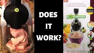 Yonanas Healthy Frozen Dessert Maker Review [upl. by Maze]