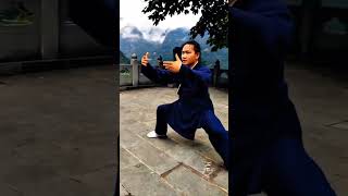 From Shaolin to Wudang  Master Li Jun Martial Arts Journey [upl. by Adlaremse]