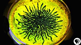 AMAZING Ferrofluid  Glow Sticks [upl. by Leticia]