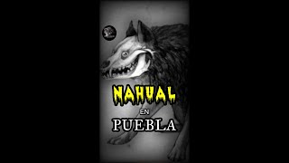 EL NAHUAL DE PUEBLA  Relato basado en hechos reales sobre nahuales [upl. by Aivartal892]