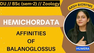 Affinities of balanoglossusZoologysem 1  Osmania University humera [upl. by Proud]