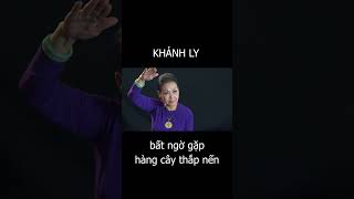 Khánh Ly bất ngờ gặp quothàng cây thắp nến lên 2 hàngquot [upl. by Nesyla]