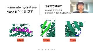 31 20202149 조순빈 Fumarate Hydratase Class II 단백질의 구조와 기능 [upl. by Tiffa985]