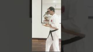 Tonfa kobudo youtubeshorts [upl. by Tirrell]