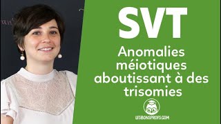 Anomalies méiotiques aboutissant à des trisomies  SVT  Terminale  Les Bons Profs [upl. by Tonie602]