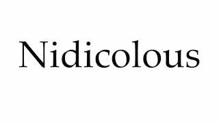 How to Pronounce Nidicolous [upl. by Flem103]