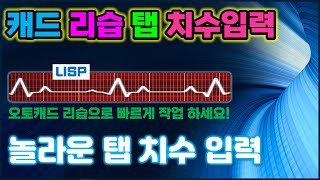 오토캐드 탭 치수 입력 리습  아주 간단하게 탭 치수를 입력하는 리습입니다 AutoCAD 리습 [upl. by Berne919]