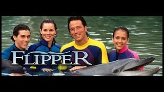 Flipper  Serie 1  Episodio 1  Un inizio avventuroso [upl. by Notsa]