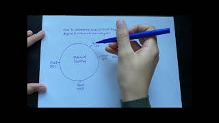 How to determine DNA fragment sizes from plasmid digested with restriction enzymes [upl. by Ivo]