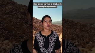 Desert Survival The Secret of Plants deserts plants botany [upl. by Donata]