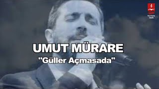 UMUT MÜRARE quotGÜLLER AÇMASA DAquot [upl. by Adaynek]