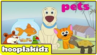 Preschool Activity  Learn About Pets  HooplaKidz [upl. by Chlores]