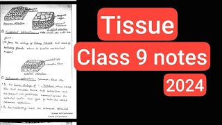 TISSUE CLASS 9 NOTES 2024 CLASS 9 NOTES CHAPTER 3 TISSUE BIOLOGY NOTES OF TISSUE CLASS 9 [upl. by Nairdna]