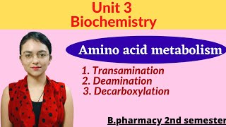 Amino acid metabolism Transamination Deamination and Decarboxylation with notes Biochemistry 2 sem [upl. by Issak303]