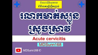 ជំងឺរលាកមាត់ស្បូនស្រួចស្រាវ l Acute cervicitis​ l សុខភាពស្បូន l MDSunn168 [upl. by Wildon]