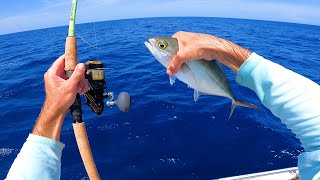 Epic Sight Fished Florida Marlin  This Bait Lasts About Two Seconds Tuna Catch n Cook [upl. by Eugene90]