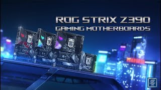 ROG Strix Z390 Series Gaming Motherboards  Rule the Game  ROG [upl. by Nealah325]