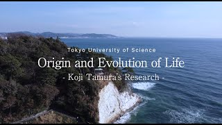 Origin and Evolution of Life Koji Tamuras Research [upl. by Kendry995]