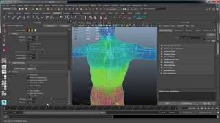 Painting Skin Weights in Maya [upl. by Timothee171]