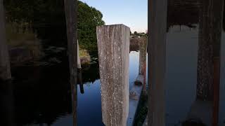 Old Glasgow Remnants Part 5 Kelvin Dock Forth and Clyde Canal Maryhill Glasgow🏴󠁧󠁢󠁳󠁣󠁴󠁿 history [upl. by Caldera]