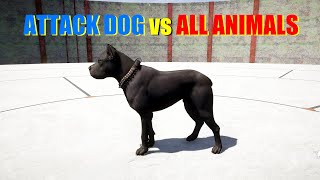 far cry 5 american black bear vs american black bear [upl. by Nannerb]