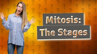 What are stages of mitosis [upl. by Nwahsit]