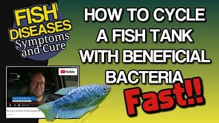 How to Cycle a New Aquarium  Tank with Beneficial Bacteria [upl. by Sirtaeb]