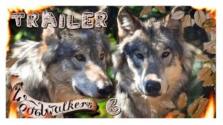 Buchtrailer Woodwalkers 6 [upl. by Yekciv]