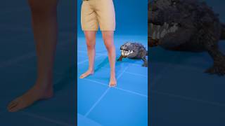 How To Escape An Alligator Death Roll 😨  Melon Playground alligator [upl. by Ready]