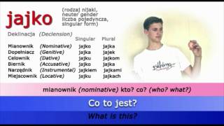 Easy Polish Grammar  Case Drill jajko egg [upl. by Flanders113]