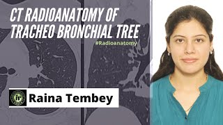 CT TRACHEOBRONCHIAL TREE ANATOMY  RAINA TEMBEY  HRCT CHEST  RADIOANATOMY TRACHEA AND BRONCHI [upl. by Feeley]