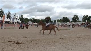 Generali Open de France d’équitation à LamoteBeuvron [upl. by Hauhsoj]