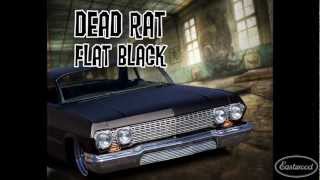 Flat Black  DEAD RAT Flat Black Paint from Eastwood [upl. by Ettelimay422]