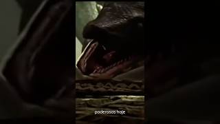 Titanoboa A Maior Serpente que Reinou Após os Dinossauros 🐍🌍shorts [upl. by Zednanreh]