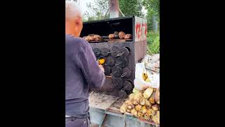 Chinese street food  roasted corn [upl. by Nevyar704]