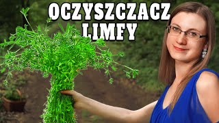 Naturalne ODMŁODZENIE Ta Roślina Wydłuża Życie [upl. by Carlynn]