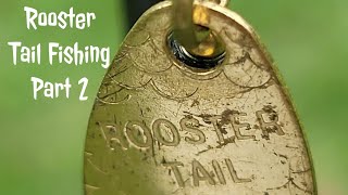 Rooster Tail Fishing Part 2 All Around Fishing Lure [upl. by Airtened]