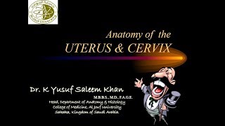 Lecture on Anatomy of UTERUS amp CERVIX  by Dr Yusuf [upl. by Eentrok]