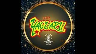 Analizando canciones 20  Los Yaguaru [upl. by Annauj]