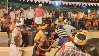 Gurupura Kambala Top  Best Fight Race 2024 [upl. by Oinolopa877]