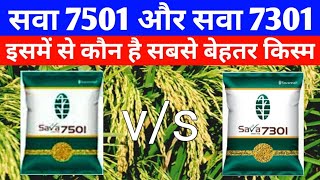 सवा 7501 और सवा 7301 में कौन है बेहतर धान की 2 नई किस्में 2023Sava 7501 vs Sava 7301 paddy sava [upl. by Ainar]