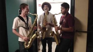 Epic Sax Guy Tenor Sax Trio [upl. by Ecirum]