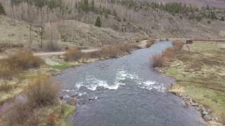 Conejos River Flight  unedited [upl. by Friede]