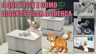 O que é FeLV e como diagnosticar a doença [upl. by Ardnaid525]