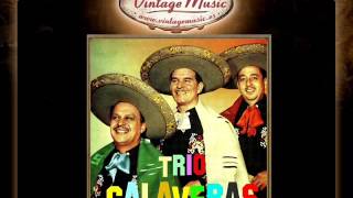 Trio Calaveras  El Hijo Desobediente Corrido VintageMusices [upl. by Deys]