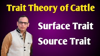 Trait Theory of Cattle l Cattle Personality Theory l Surface Trait l Source Trait by Dr Vivek [upl. by Ratcliffe]