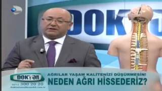 Neden ağrı hissederiz [upl. by Gowrie551]