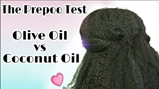 Natural Hair Wash Day Routine  Prepoo with Olive Oil vs Coconut Oil  Which is best [upl. by Zaneta460]