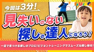 【目指せ！一目で見つける探しのプロ】見失いのない探しの達人へ！ビジョントレーニングでスムーズな探し物を！ [upl. by Eirolam162]