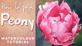 How to paint a Pink Peony  Watercolour tutorial [upl. by Feld442]